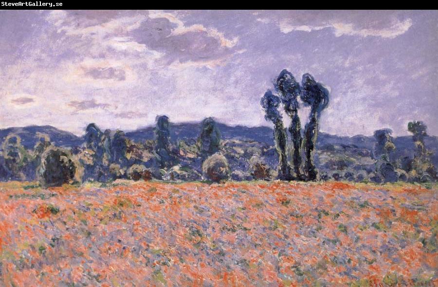 Claude Monet Poppy Field in Bloom